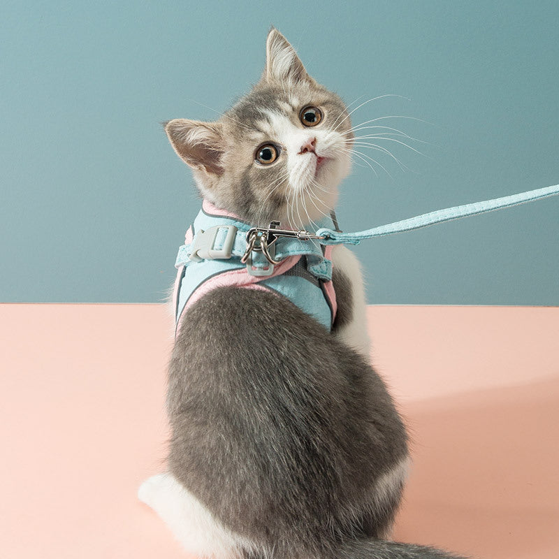 Katzengeschirr + Leine