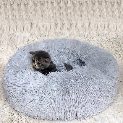 FluffyNest OASE - Gemütliches Katzenbett