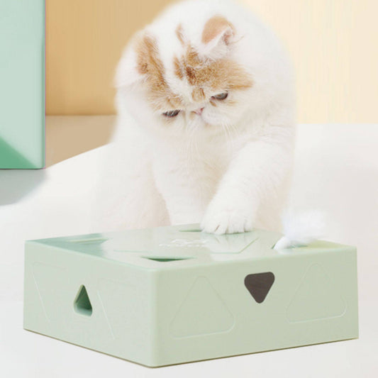 Interaktive Spielbox