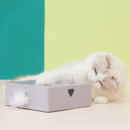 Interaktive Spielbox