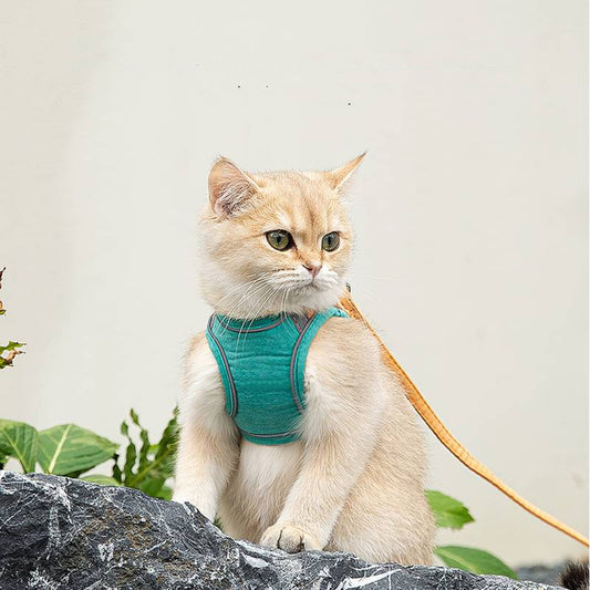 Katzengeschirr + Leine