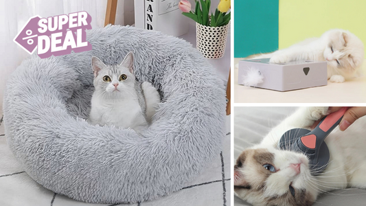 FLUFFYSET CARE